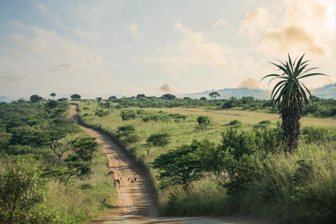 Tala Collection Game Reserve Silverton Екстериор снимка