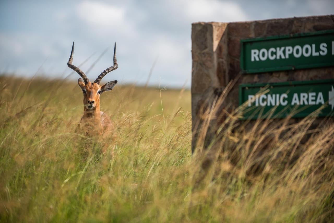 Tala Collection Game Reserve Silverton Екстериор снимка