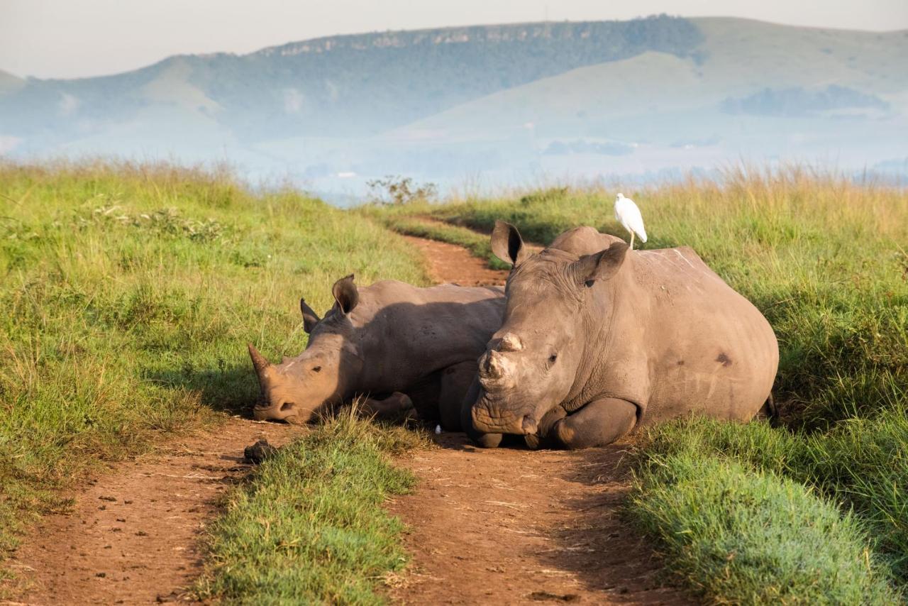 Tala Collection Game Reserve Silverton Екстериор снимка