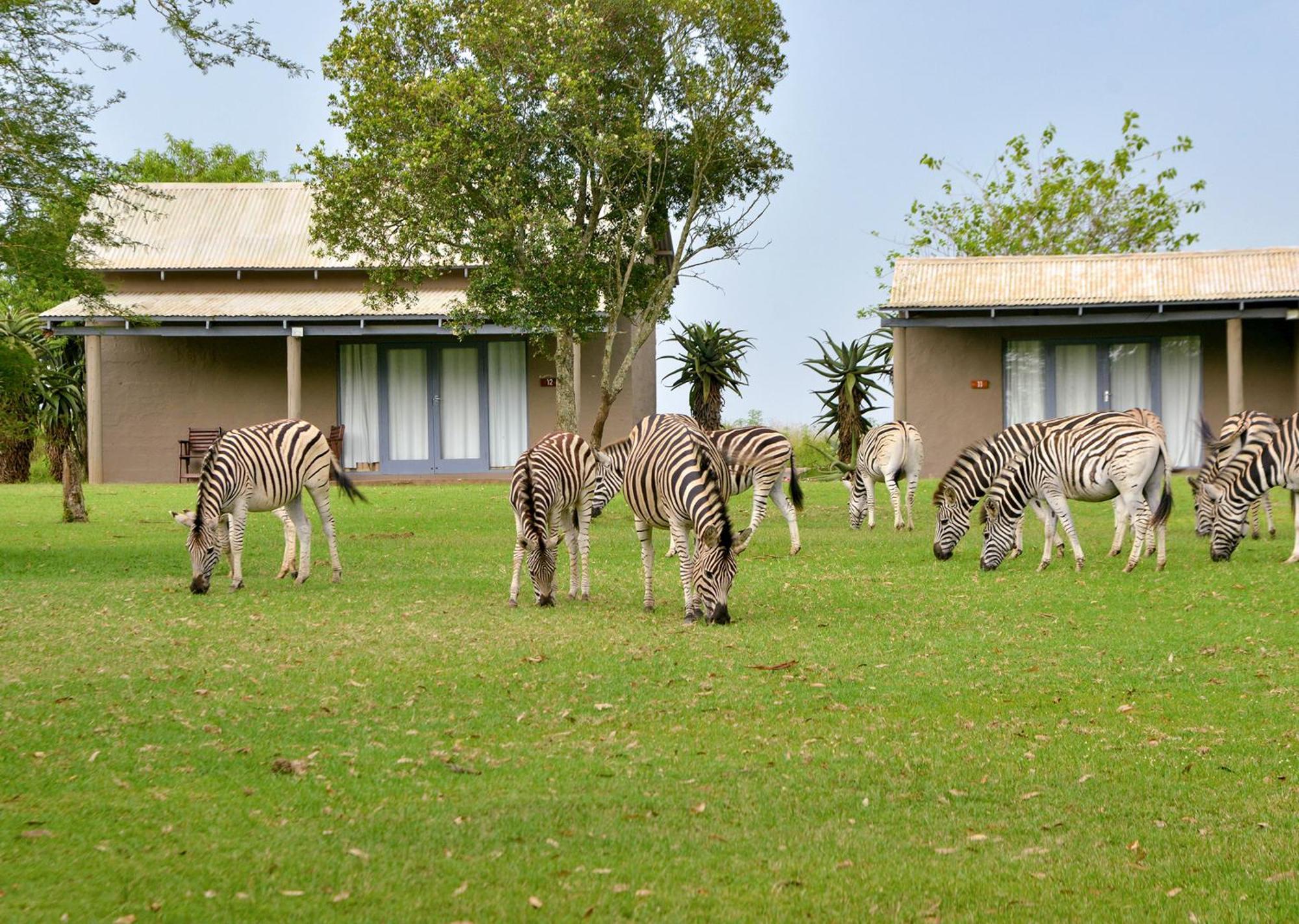 Tala Collection Game Reserve Silverton Екстериор снимка
